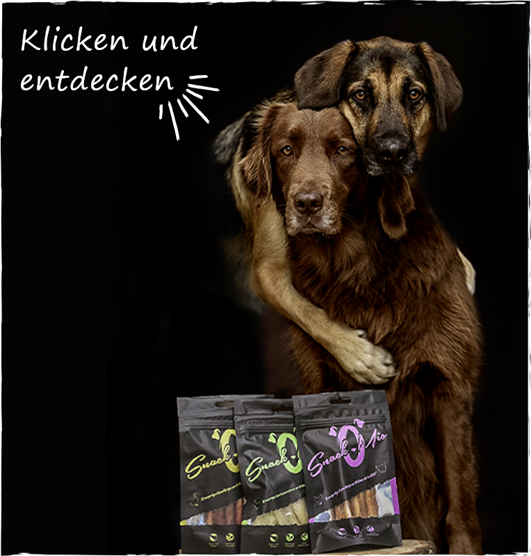 SnackoMio Hundesnacks günstig online kaufen